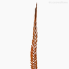 Thumb 3 do produto Palmeira Natural Seca - Laranja (0120167)