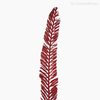 Thumb 3 do produto Palmeira Natural Seca - Vermelho (0120166)
