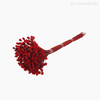 Thumb 4 do produto Jasida Seca - Vermelho (0119316)