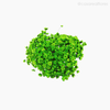 Thumb 5 do produto Sempre Viva Natural Seca - Verde Claro (1200810)