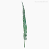 Thumb 1 do produto Palmeira Natural Seca Longa - Verde (01238310)