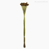 Thumb 1 do produto Flor Seca Pimentinha (012159)