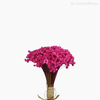 Thumb 2 do produto Buquê de Sempre Viva - Pink (01222014)