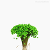 Thumb 3 do produto Buquê de Sempre Viva - Verde Claro (01222016)