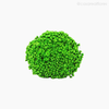 Thumb 5 do produto Buquê de Sempre Viva - Verde Claro (01222016)