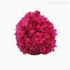 Thumb 5 do produto Buquê de Hortênsia Seca - Rosa Escuro (0120158)