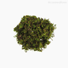 Thumb 1 do produto Musgo Verde Natural Seco - Pacote C/1 Kg (012369)