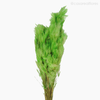 Thumb 3 do produto Pluminha Colorida Seca - Verde (01253810)