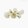 Thumb 4 do produto Flor de Escama de Peixe - Copo de Leite (012207)