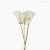 Thumb 2 do produto Flor de Escama de Peixe - Copo de Leite (012207)