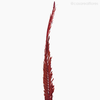 Thumb 3 do produto Palmeira Natural Seca Longa - Vermelho (0123836)