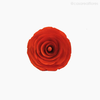 Thumb 4 do produto Flor de Madeira - Camélia P/M Laranja (012573 LR)