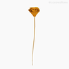 Thumb 1 do produto Flor de Madeira - Botão Amarelo (012574 AM)