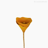 Thumb 2 do produto Flor de Madeira - Lírio Amarelo (012575 AM)