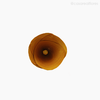 Thumb 4 do produto Flor de Madeira - Lírio Amarelo (012575 AM)