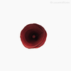 Thumb 4 do produto Flor de Madeira - Lírio Vermelho (012575 VR)