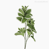 Thumb 2 do produto Galho Euphorbia Artificial (9504)