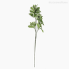 Thumb 1 do produto Galho Euphorbia Artificial (9504)