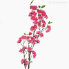 Thumb 2 do produto Galho Flor de Cerejeira Artificial - Rosa Escuro (012791)