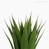 Thumb 7 do produto Planta Agave - Artificial (9548)