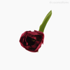 Thumb 4 do produto Galho Tulipa Artificial - Vermelho (12827)