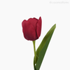 Thumb 5 do produto Galho Tulipa Artificial - Vermelho (12827)