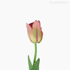 Thumb 2 do produto Galho Tulipa Angel Artificial - Rosa (9606)