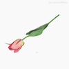 Thumb 3 do produto Galho Tulipa Angel Artificial - Rosa (9606)