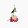 Thumb 4 do produto Galho Tulipa Angel Artificial - Rosa (9606)