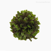 Thumb 4 do produto Bola Artificial 18cm - Verde (9834)