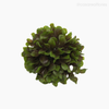 Thumb 5 do produto Bola Artificial 18cm - Verde (9834)