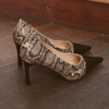 Scarpin Salto Alto Fino Bico Alongado Bicolor Snake Fargo