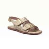 Rasteira Laser E Maxi Fivelas Dourado Fargo