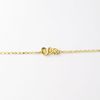 PULSEIRA ORQUIDEA DO JARDIM