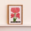 J Borges P - Flor Do Amor Vermelho Xilogravura + Moldura