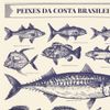 E Arado 46x64cm - Peixes da Costa Brasileira Gravura + Tubo