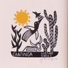 Gustavo Borges P - Caatinga Xilogravura + Moldura