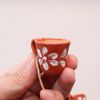 Maragogipinho Canequinha - Penca com 6