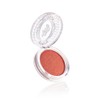 BT Shimmer Blush Madagascar - Bruna Tavares