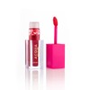 Batom Tint Acqua Tint Rouge - Mari Maria Makeup