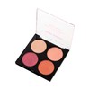 Paleta de Blush Cintilante - Rare Blush - RK by Kiss