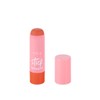 Blush Stick Cremoso - Vizzela