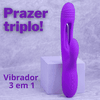 Vibrador 3 em 1 Ponto G Enjoy Love Harmony - Roxo