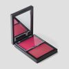 Blush Duo Punch Paint - Océane Edition