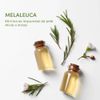Máscara Facial De Algodão Tea Tree Detoxificante - Kiss NY