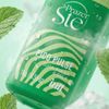 Pico Pulse Chiclete de Menta - Intt Cosméticos