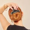 Piranha de Cabelo Hair Clip Couture - ProArt