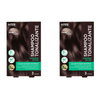 Kit 2 Shampoos Tonalizantes Kiss New York Castanho Escuro