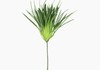 Produto Mini Folhagem Baby Grass Pick Artificial - Verde (10191)