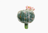 Produto Cactus com Flor Artificial - Verde (11154)